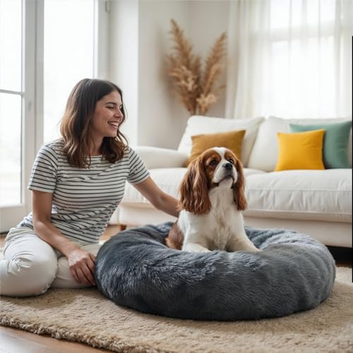 Image of WOW DOG Donut Bed for Dogs & Cats (Gray, M)