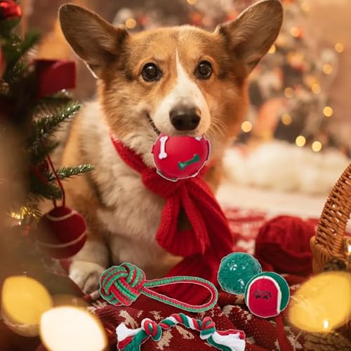 GkgWuxf Hunde Adventskalender 2024, 2024 Weihnachts-Countdown-Hundespielzeug, Adventskalender für Hunde mit 12 Hundespielzeug Weihnachten, Interaktiver Hundespielzeug-Adventskalender