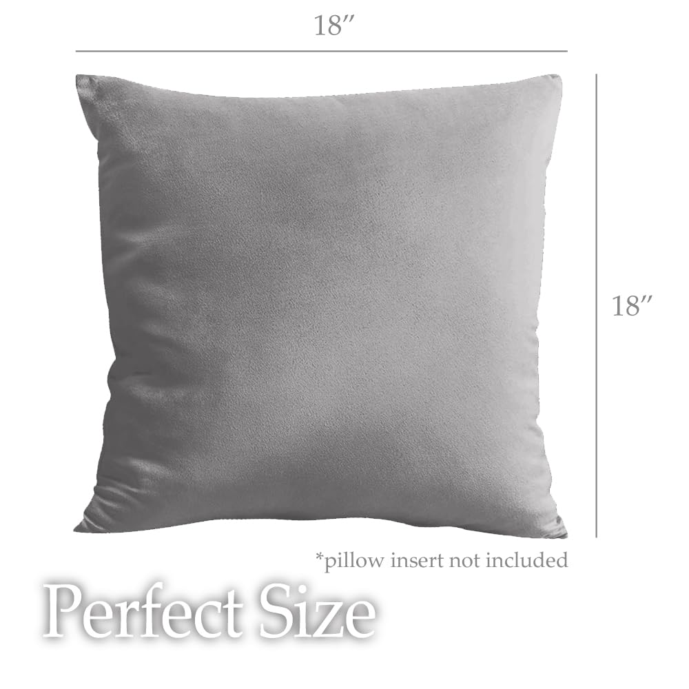 lalaLOOM Juego de 2 fundas de almohada de terciopelo, la funda decorativa más suave para almohadas, fundas cuadradas decorativas para decoración del hogar, funda sedosa para sofá, dormitorio, sala de