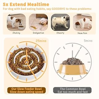 Elevated Slow Feeder Dog Bowl - Ceramic Maze Food Dish with Bamboo Stand - Raised Feeding Bowl for Fast Eaters - Ideal for Small and Medium Dogs - White - 6.7 inch