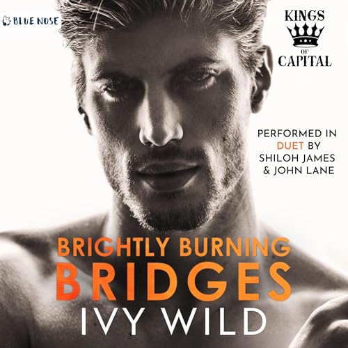 『Brightly Burning Bridges』のカバーアート