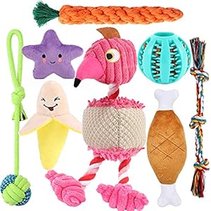 LOYEE 8 Pack Puppy Toys, Squeaky Plush Dog Toys for Small Dogs, Cute Puppy Teething Chew Toy, Safe Ropes Toys