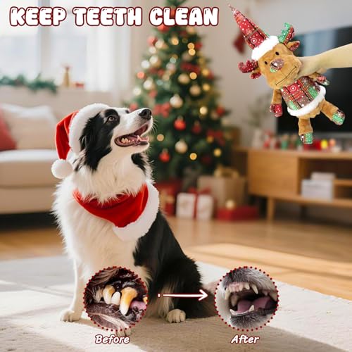 Juguetes para perros Christmas 2 unidades sonoros miniatura 4