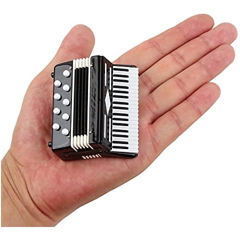 Dselvgvu Miniature Accordion with Case Mini Musical Instrument Replica Collectible Miniature Dollhouse Model Home Decorations (Black, 2.76"x2.36"x1.18") Cover