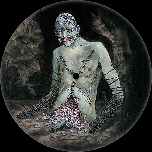 Vile - 25th Anniversary Picture Disc