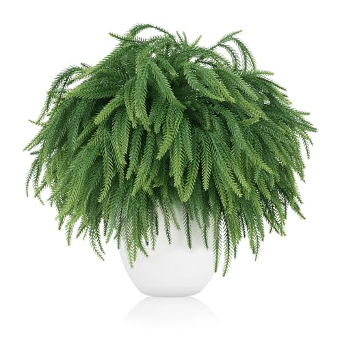 TOWPONICS 30Pcs 18Inch Norfolk Pine Stem…