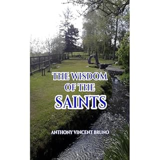 The Wisdom of the Saints Audiolibro Por Anthony Vincent Bruno arte de portada