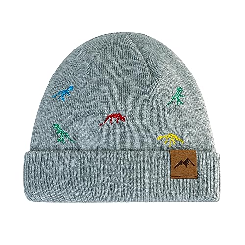 Image of XIAOHAWANG Knit Toddler Beanies Girls Boys Cute Kids Winter Hat Infant Dinosaur Baby Beanie Hats