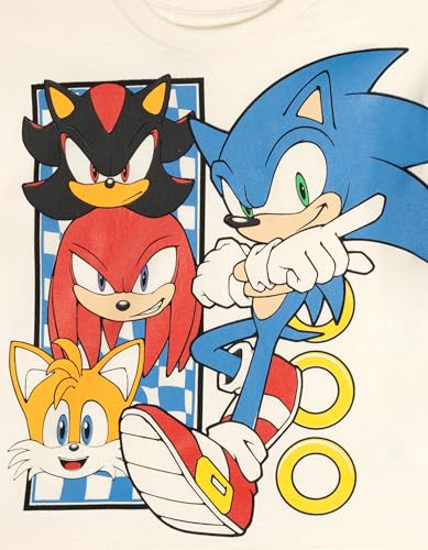 Image of SEGA Sonic the Hedgehog Athletic T-Shirt and Mesh Shorts Outfit Set Toddler to Big Kid Sizes (2T - 18-20)