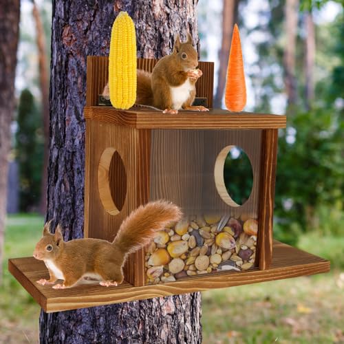 Mangeoire pour écureuil résistant aux intempéries avec fenêtre carrée transparente en bois stable avec trous d'aération à suspendre pour clôture d'arbre
