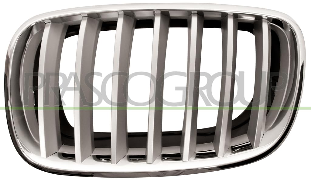 Prasco Kühlergitter [Hersteller-Nr. BM8222014] für BMW