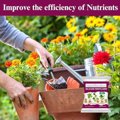 Image of Indian Gardens - Silicon Fertilizer for Plants | Plant Nutrient and Plant Food | Gardening (200 Grams)