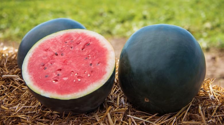 Generic New Fresh 100pcs Densuke Watermelon Fruit Seeds