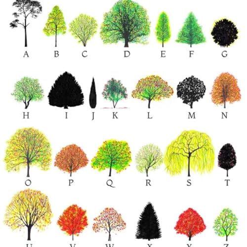 # 124 The Language of Trees &mdash; and the World We&rsquo;ve Forgotten How to Read