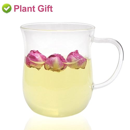 Miniatura 3 de PlantGift - Bola de peonía fragante de 1.76 onzas, 1.76 onzas, Paeonia lactiflora, flores de peonía secas naturales para suministros de fabricación