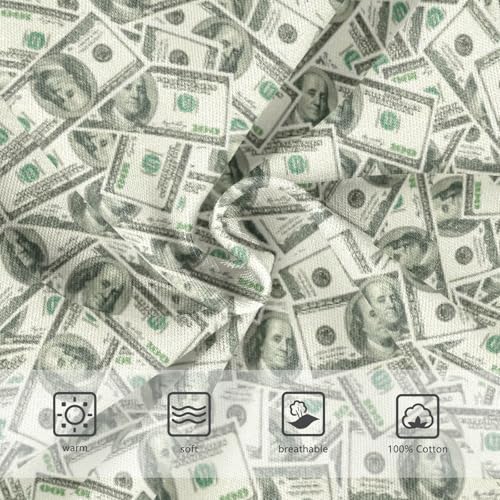 Boys' Exclusive Briefs Toddler Underwear 95% Combed Cotton Boxerbriefs 2T Money Bill Pattern 163