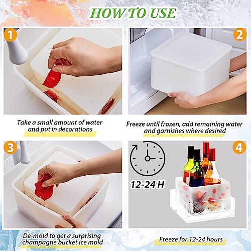 Molde de Hielo para Botella x4 con Cubo Champagne miniatura 5