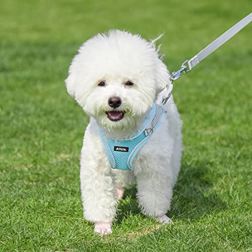 Image of AIITLE Step in Dog Harness and Leash Set - No Pull Escape Proof Vest Harnesses with Soft Mesh and Reflective Bands, Adjustable Pet Outdoor Harnesses for Small and Medium Dogs Blue M