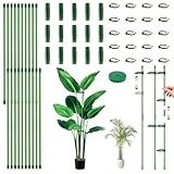 LangRay Pflanzenstütze, 20 Stück Pflanzstäbe 30cm mit 20 Verstellbare Pflanzenclips, 15 Verlängerungsrohren und 1 Pflanzenbinder, Tomatenstäbe, Rankhilfe Zimmerpflanzen für Monstera Gemüse Blumen