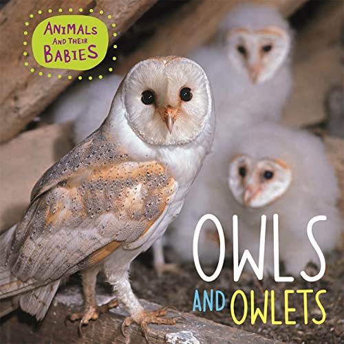 Animals & Their Babies Owls & Owlets