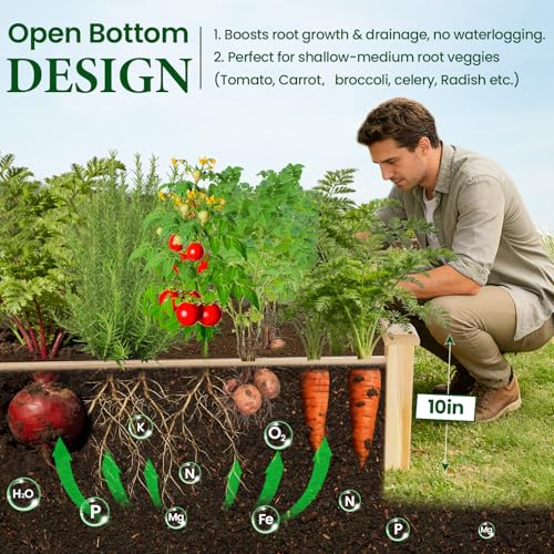 Image of MIXC 8x2ft Wooden Horticulture Raised Garden Bed Outdoor Divisible Elevated Planting Planter Box for Vegetables, Herbs, Strawberry, Flowers in Backyard and Patio, Natural Wood
