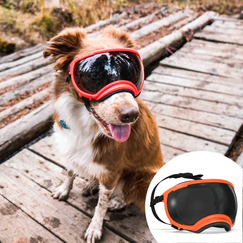 Rex Specs V2 Dog Goggles (Medium, Bandit Orange) Rex Specs V2 Dog Goggles (Medium, Bandit Orange)