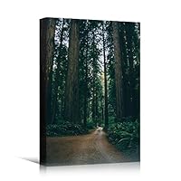 Canvas Wall Art Green Forest Dramatic Forest Landscape Living Room Multicolor Photography Rustic - 12x18 inches