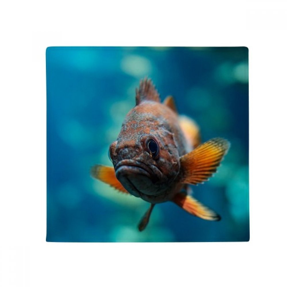 Tapis antidérapant poisson marin lavable et sécurisé pour sol de salle de bain
