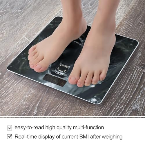 Báscula Digital de Baño con Pantalla LCD VstaDank miniatura 5