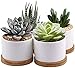 7WUNDERBAR Pots succulents en céramique planteur de cactus petite jardinière 8cm mini pot de fleur pot avec soucoupe en bambou rond blanc lot de 4 (plante non incluse)