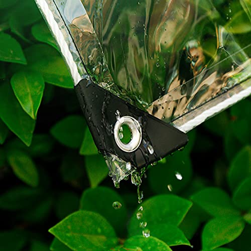 Bâche transparente de jardin pour protéger les cours des plantes du vent