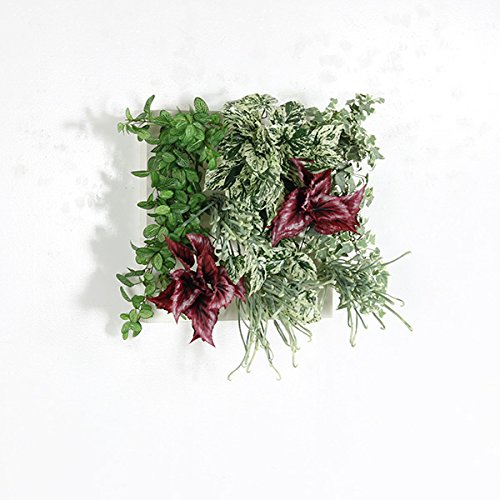 arne 光触媒 人工観葉植物 壁掛け 観葉植物 フェイクグリーン インテリア 壁掛 インテリアグリーン フェイク ウォールパネル フレーム Botanical a.class 04 ホワイトウッド 》