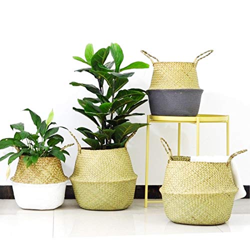 EisEye, - Cestino versatile, utilizzabile per