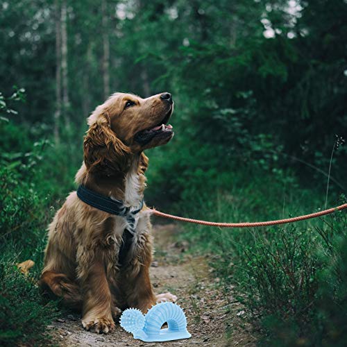 UKCOCO Brinquedos para Mastigar Cachorros Em Forma de Caracol Cachorro Escova de Dentes Brinquedos B