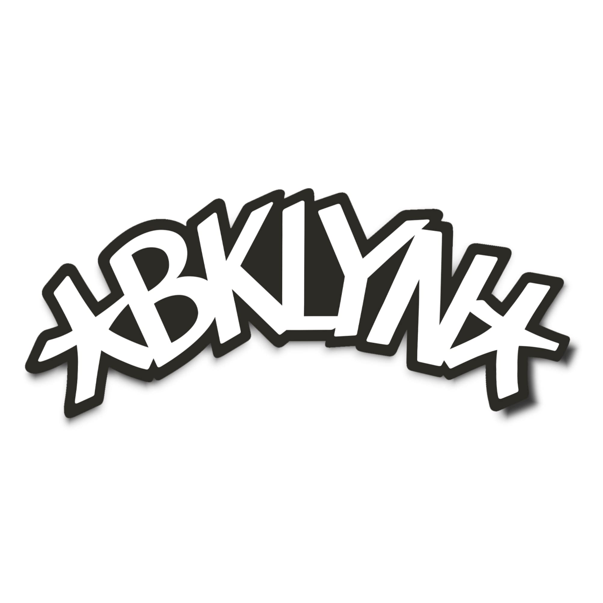 Desert Cactus Brooklyn Nets NBA Officially Licensed Sticker Vinyl Decal Laptop Water Bottle Car Scrapbook (Individual 5)