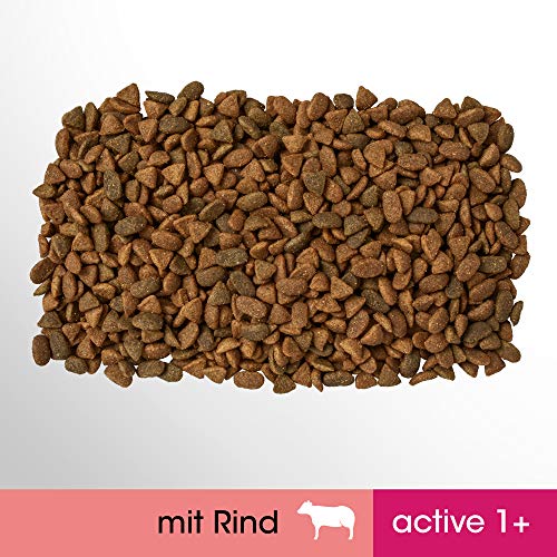 Perfect Fit Active 1+ – Trockenfutter für erwachsene, aktive Katzen ab 1 Jahr – Reich an Rind – Unterstützt die Vitalität – 4 x 1,4 kg
