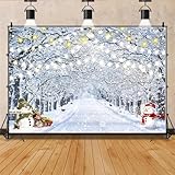 Backdrop Professional Store