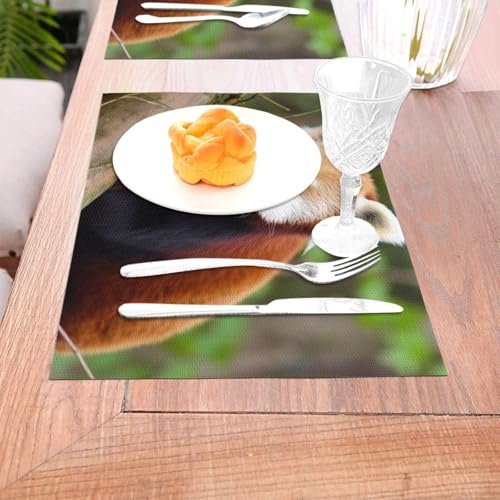 Set de table antidérapant et thermorésistant motif petit panda rouge - 8