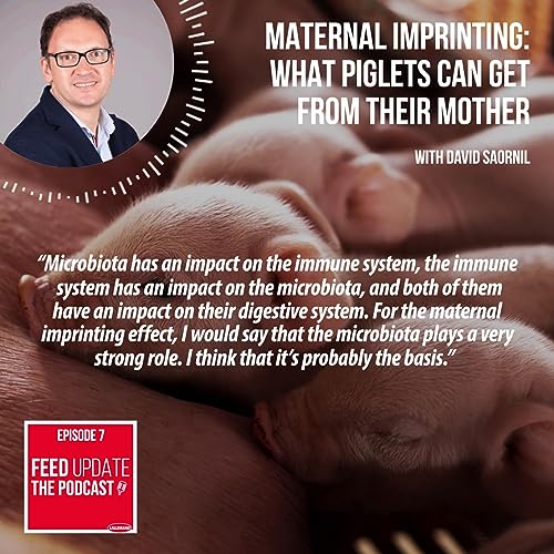 Page de couverture de Ep. #7 | Maternal imprinting: what piglets can get from their mother, with David Saornil