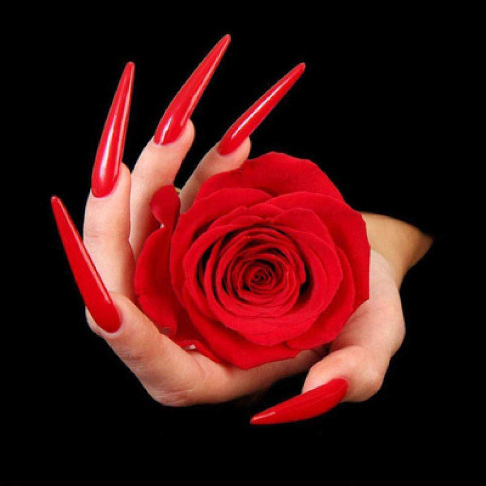 Diamant Peinture 5D Mosaïque Kit Broderie Ongles Coeur Rose 50x50