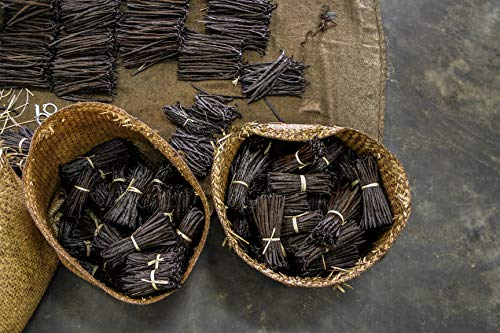 10 Planifolia Vanilla Beans Grade A, for Making Vanilla Extract,Baking,Brewing,Cooking, 7-8 inch (Planifolia Indonesia) - Thumbnail 4
