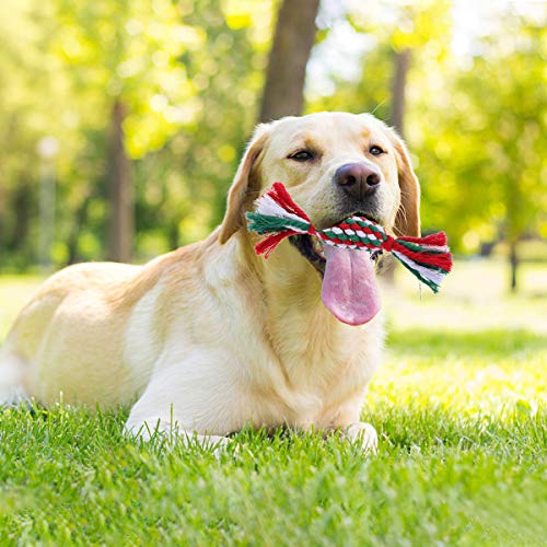 Brinquedo para cães Tehaux - 4 peças de brinquedos para cães de estimação de corda de algodão para t