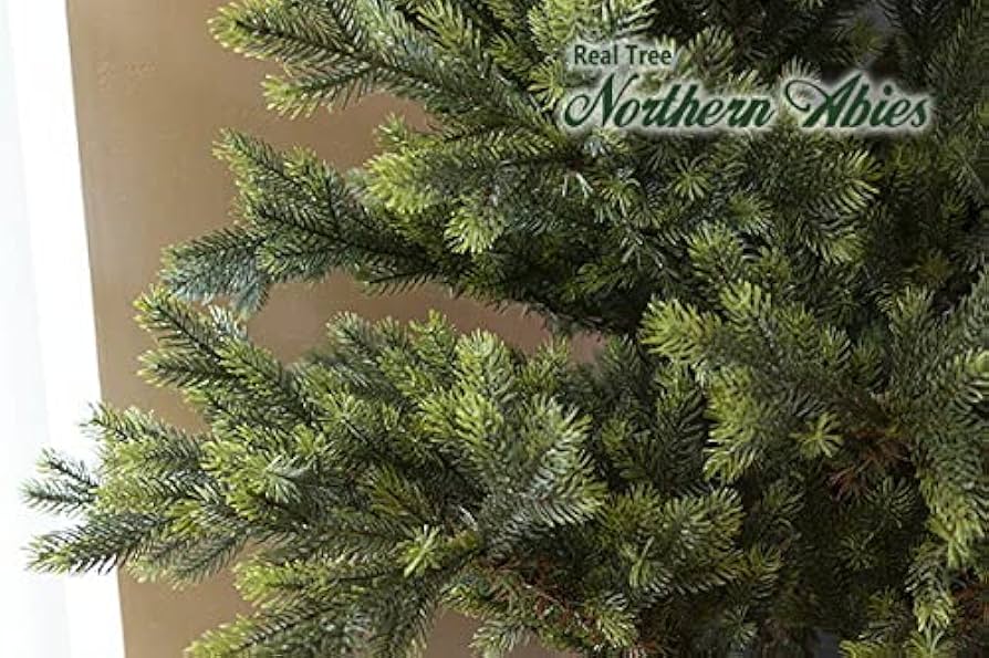 Amazon.co.jp: クリスマスツリー リアルツリー150cmノーザン