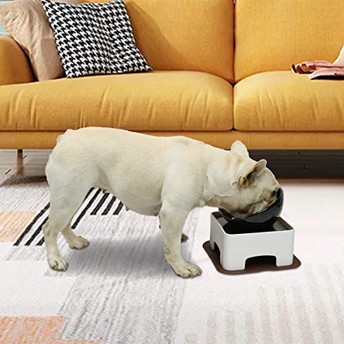 Image of Raised Tilted Dog Feeding Bowl,Elevated Ceramic Dog Bowls Set Anti-Slip,Standing Pet Feeding Dish for Small Medium Dogs and Cats,Black
