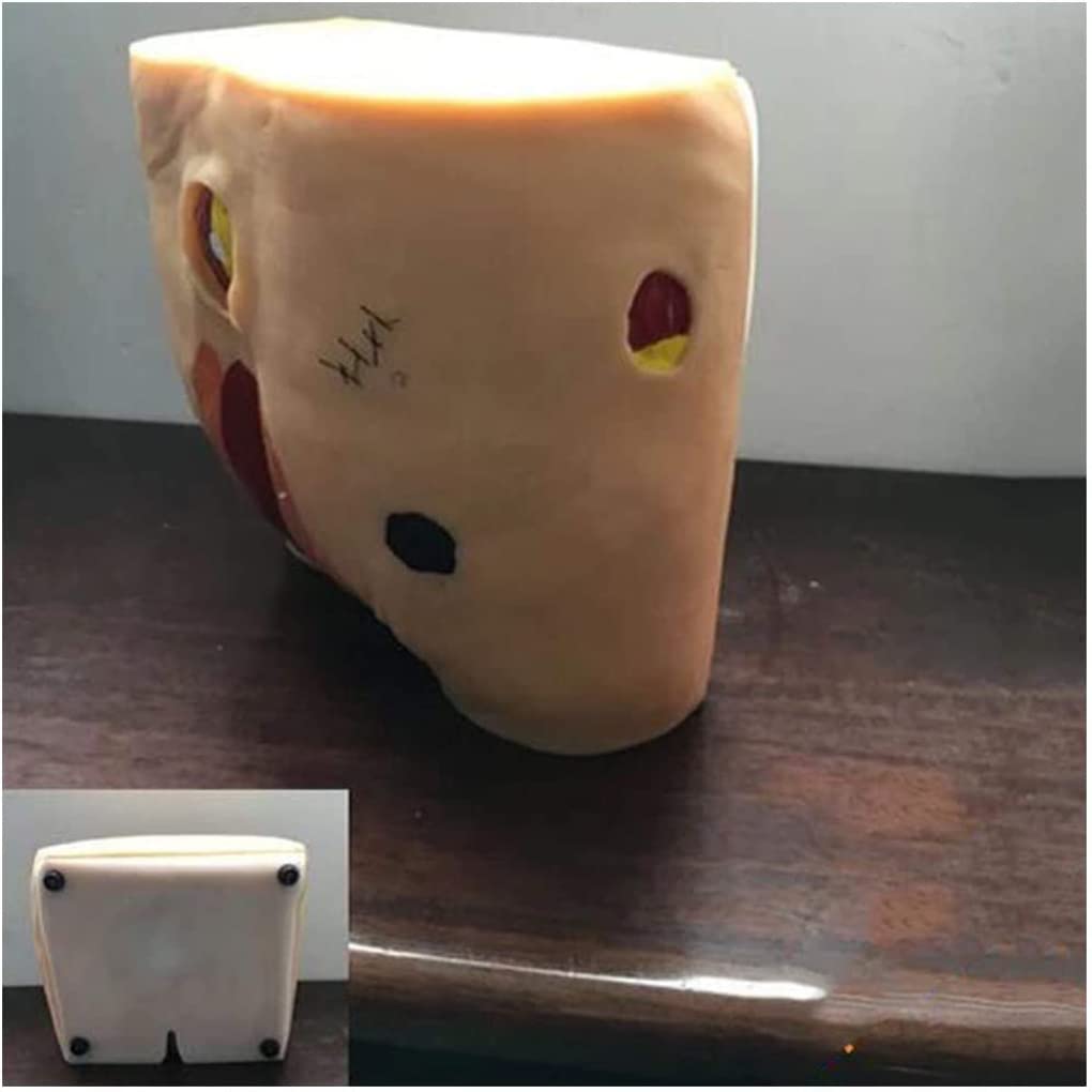 Outils de modèle d'enseignement, modèle de Soins des escarres de décubitus, modèle de Soins des escarres pour Personnes âgées, modèle d'enseignement du Mannequin, simulateur Humain