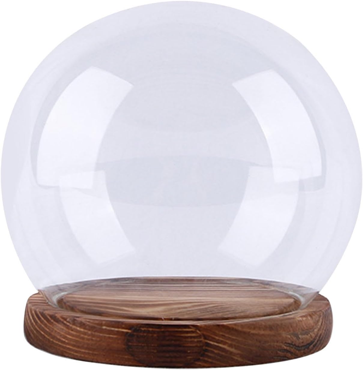 Cloche Glass Dome with Base Tabletop Display Glass Cloche Globe Dome 10cm|Home & Garden|Home Dacor> Other Home Dacor