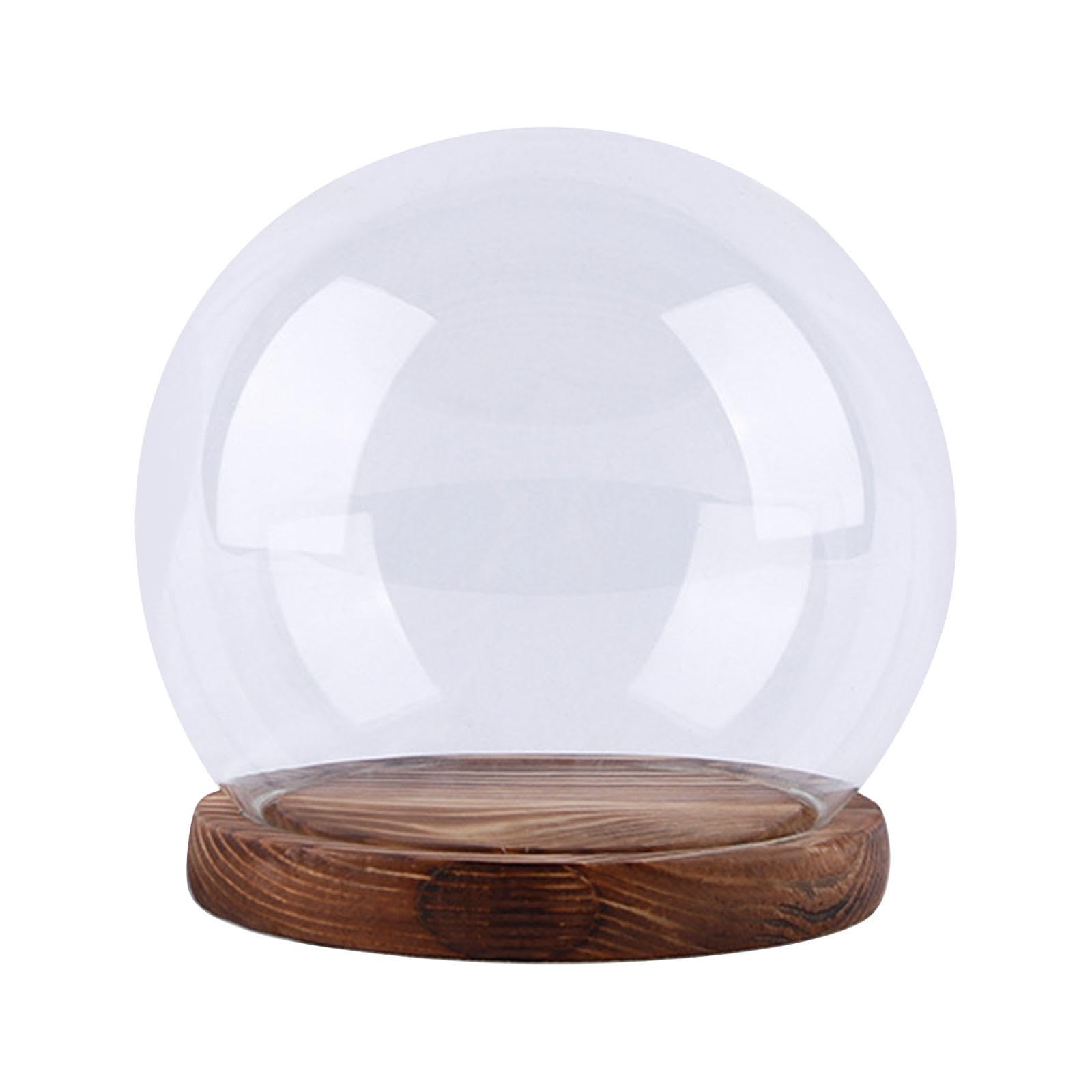 Cloche Glass Dome with Base Tabletop Display Glass Cloche Globe Dome 10cm|Home & Garden|Home Dacor> Other Home Dacor