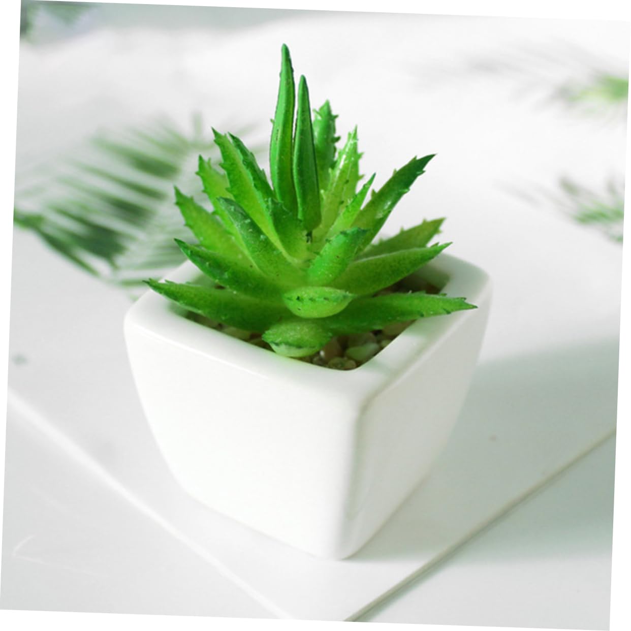 Succulente Artificielle Mini Pot Céramique Lot de 6 Set de Pièces Blanc