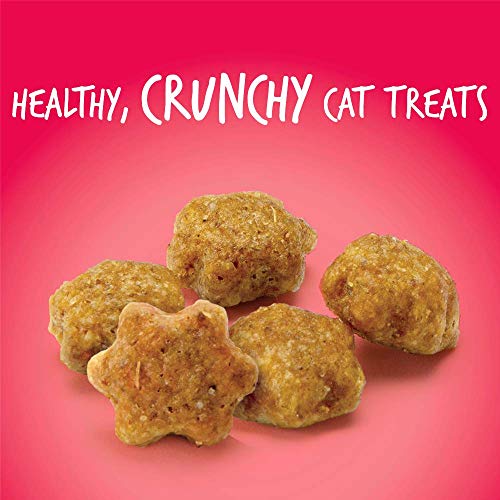 Fruitables Salmon and Cranberry Crunchy Cat Treats Healthy Cat Treats with Limited Ingredients Low Calorie 2.5 Ounces (1030608)
