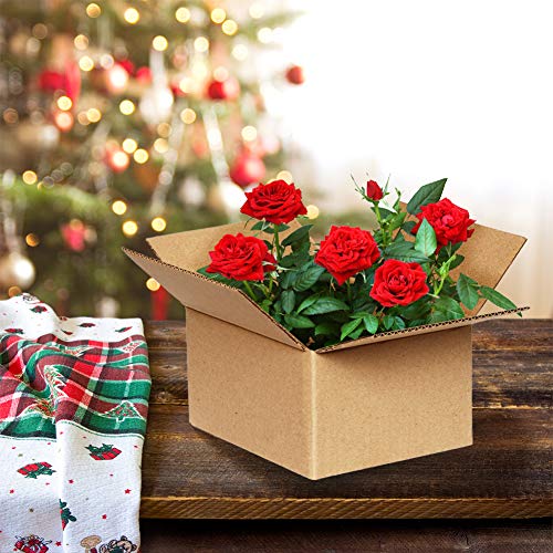 Image of Schliersee 9x6x4 Shipping Box Mailers Set, Kraft Corrugated Cardboard Packaging Boxes Pack of 25